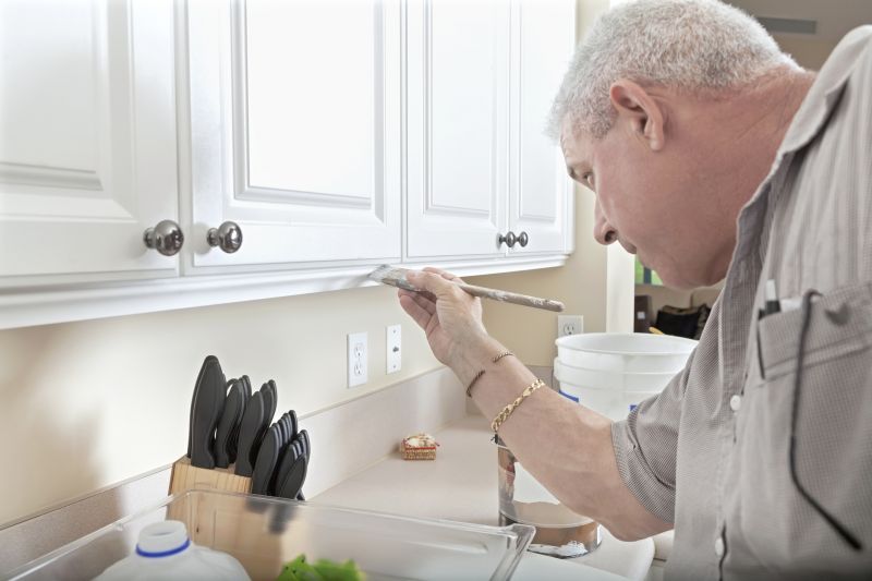 Best Cabinet Refinishing Contractors in Cedar Park, TX